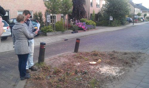 Bewoners met een brief van de gemeente bij de plek waar de aangevreten boom stond.