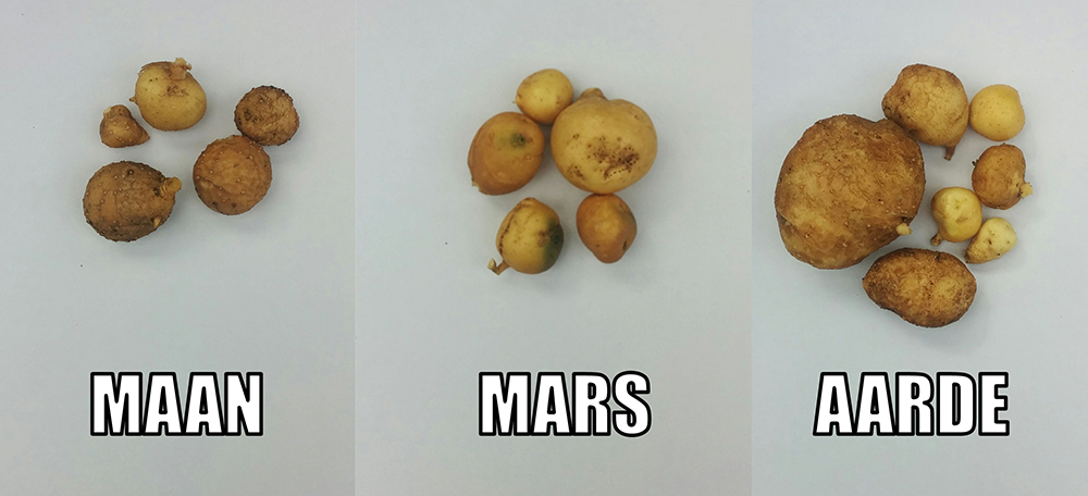 De oogst per pot. Foto: Reinier Vermeer.