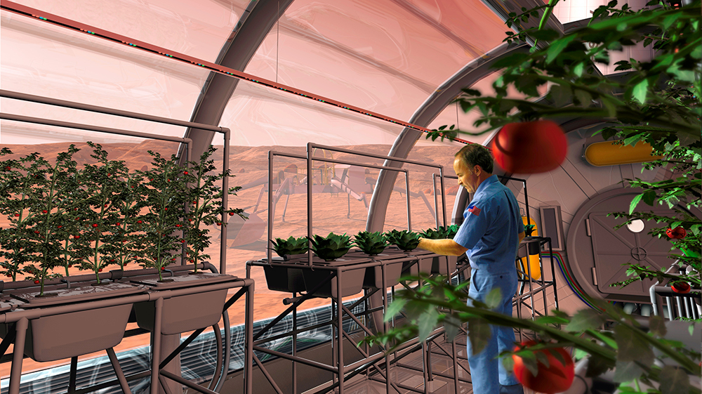 Artist impression van één van de labs waar op Mars groenten moeten worden gekweekt. Foto: NASA.