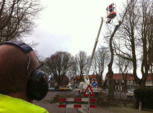 Voor de kap is een hoogwerker nodig.