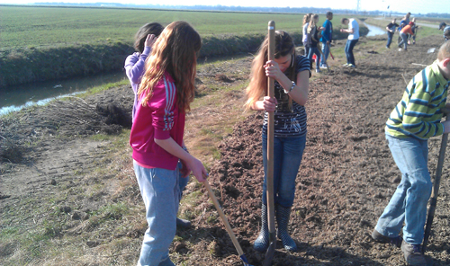Kinderen planten bomen in Angeren