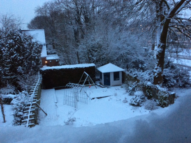 Sneeuw in februari. Uw foto's van een wit Gelderland ...