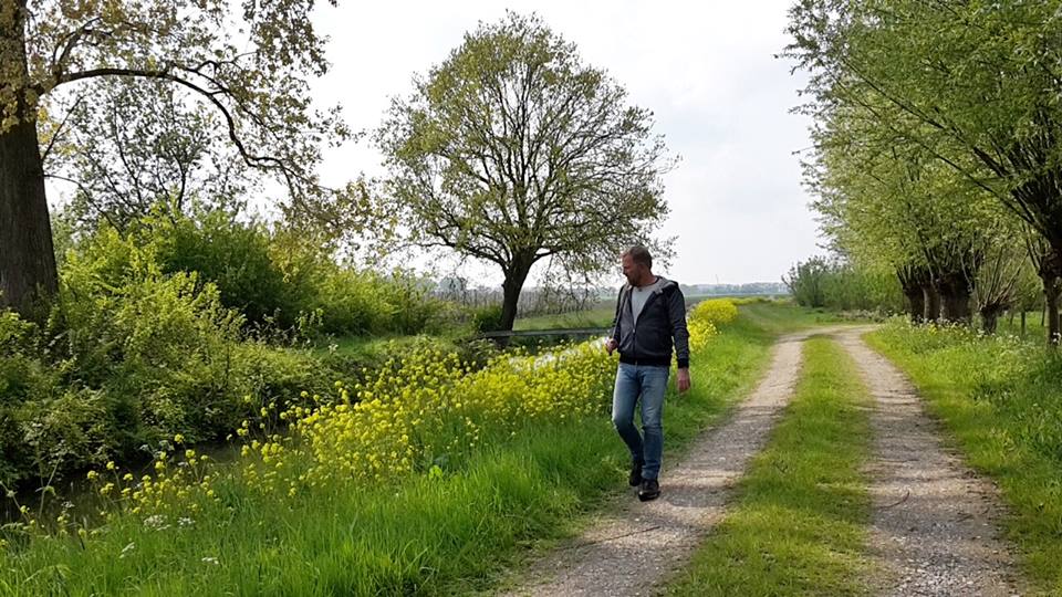 Afbeelding